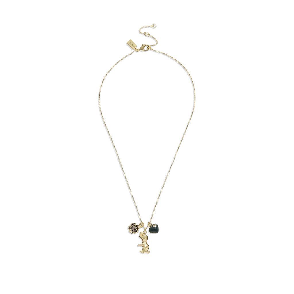 商品Coach|Rexy Charm Pendant Necklace,价格¥1217,第4张图片详细描述