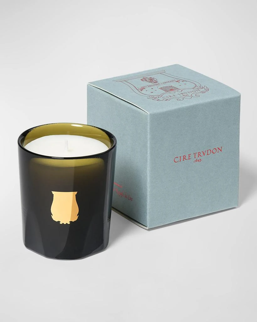 商品TRUDON|Abd El Kader Petit Candle, Moroccan Mint Tea,价格¥388,第2张图片详细描述