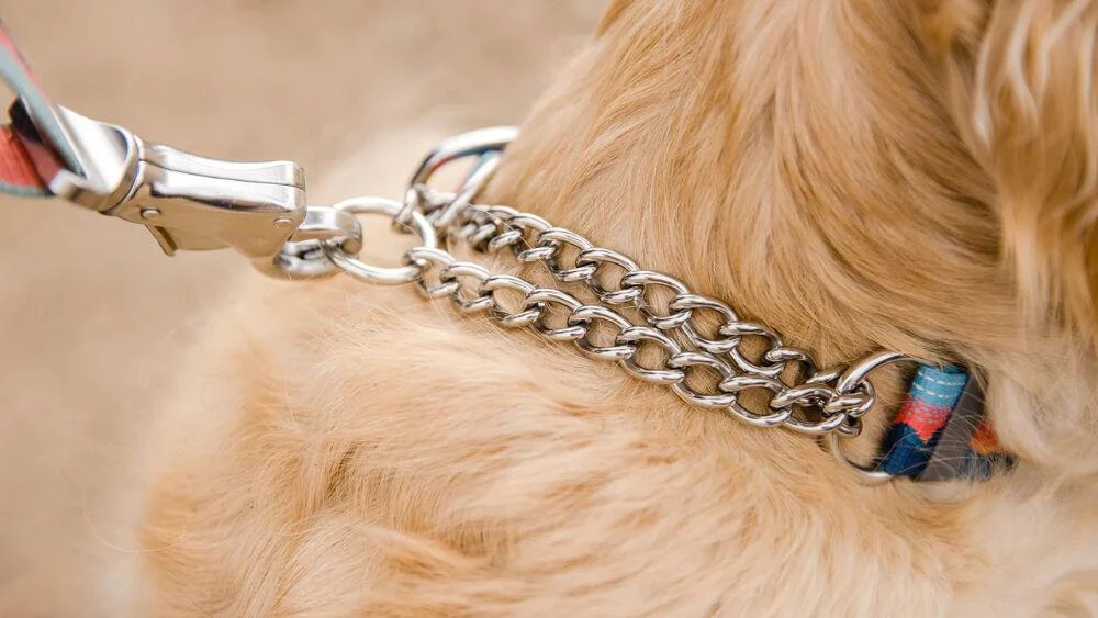 商品Ruffwear|Chain Reaction Collar,价格¥129,第4张图片详细描述