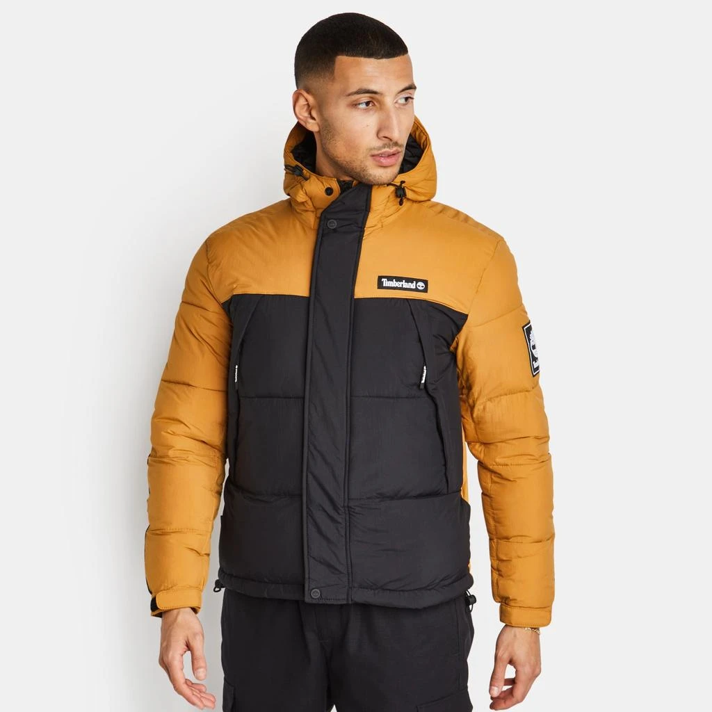 商品Timberland|Timberland Dwr - Men Jackets,价格¥623,第1张图片