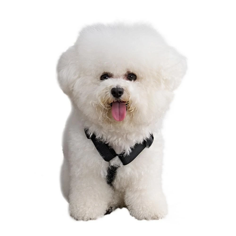 商品Juicy Couture|Bling Velour Pet Harness and Leash 2 Piece Set,价格¥187,第5张图片详细描述