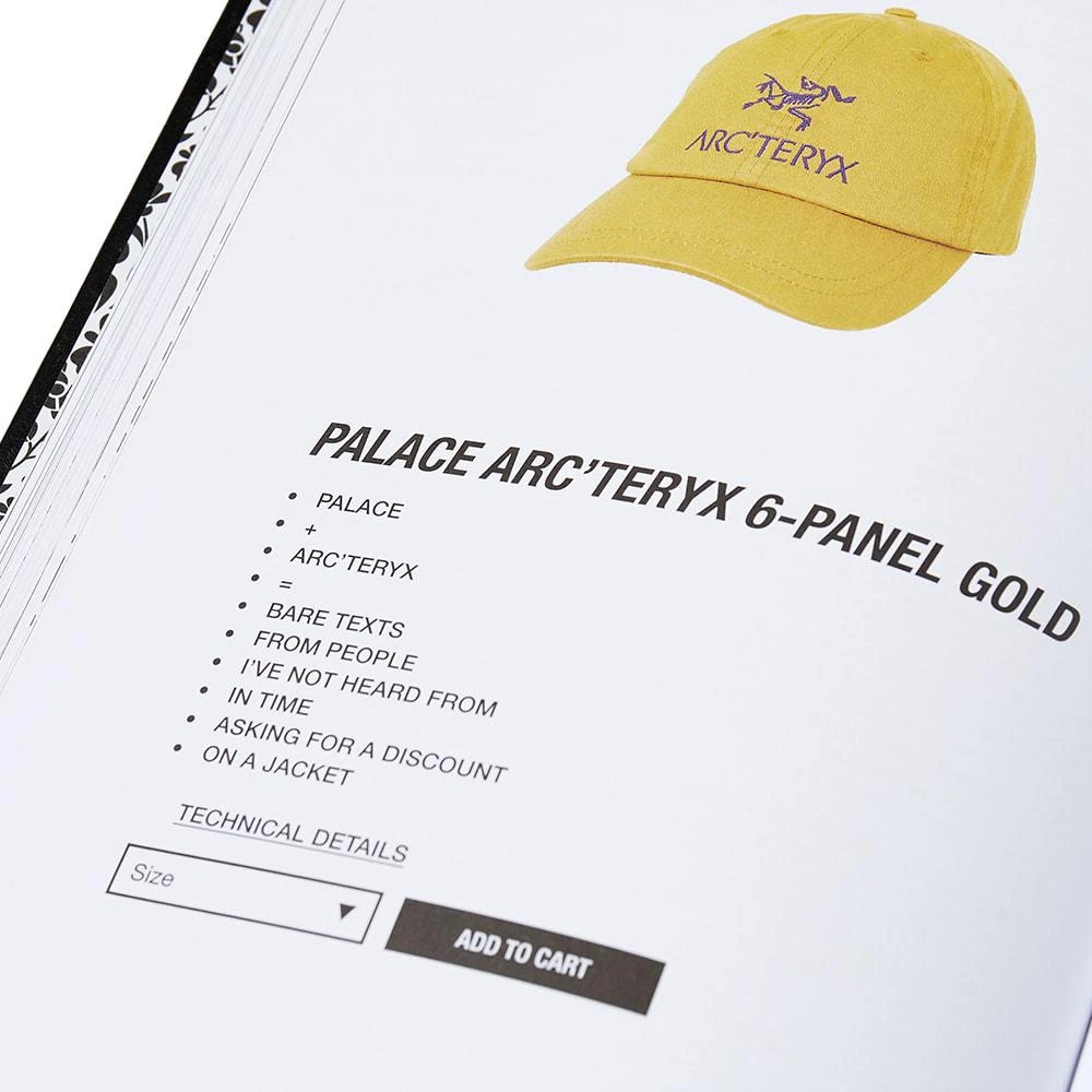 商品Phaidon|Phaidon Palace Product Descriptions: The Selected Archive,价格¥256,第2张图片详细描述