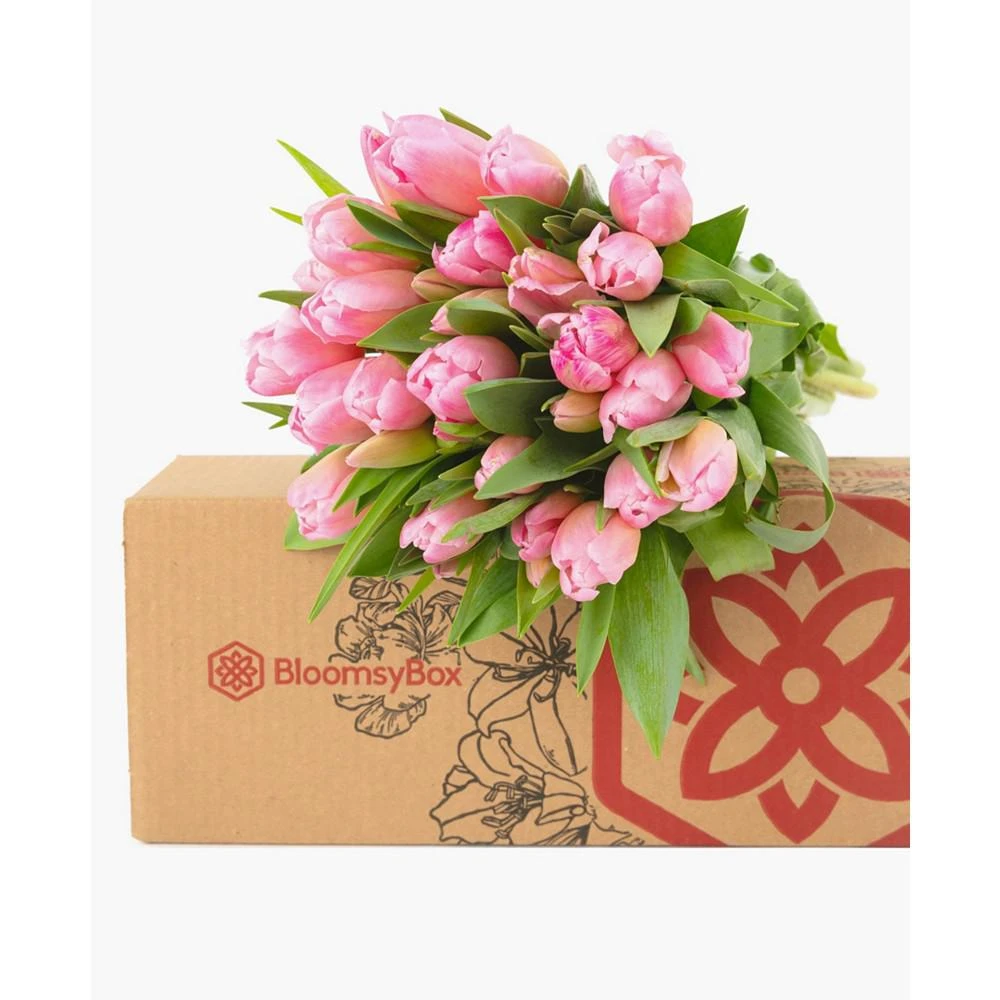 商品BloomsyBox|Princess Tulip Fresh Flower Bouquet,价格¥413,第3张图片详细描述