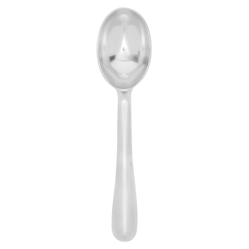 商品Home Basics|Home Basics Zinc Nova Ice Cream Scoop,价格¥107,第4张图片详细描述