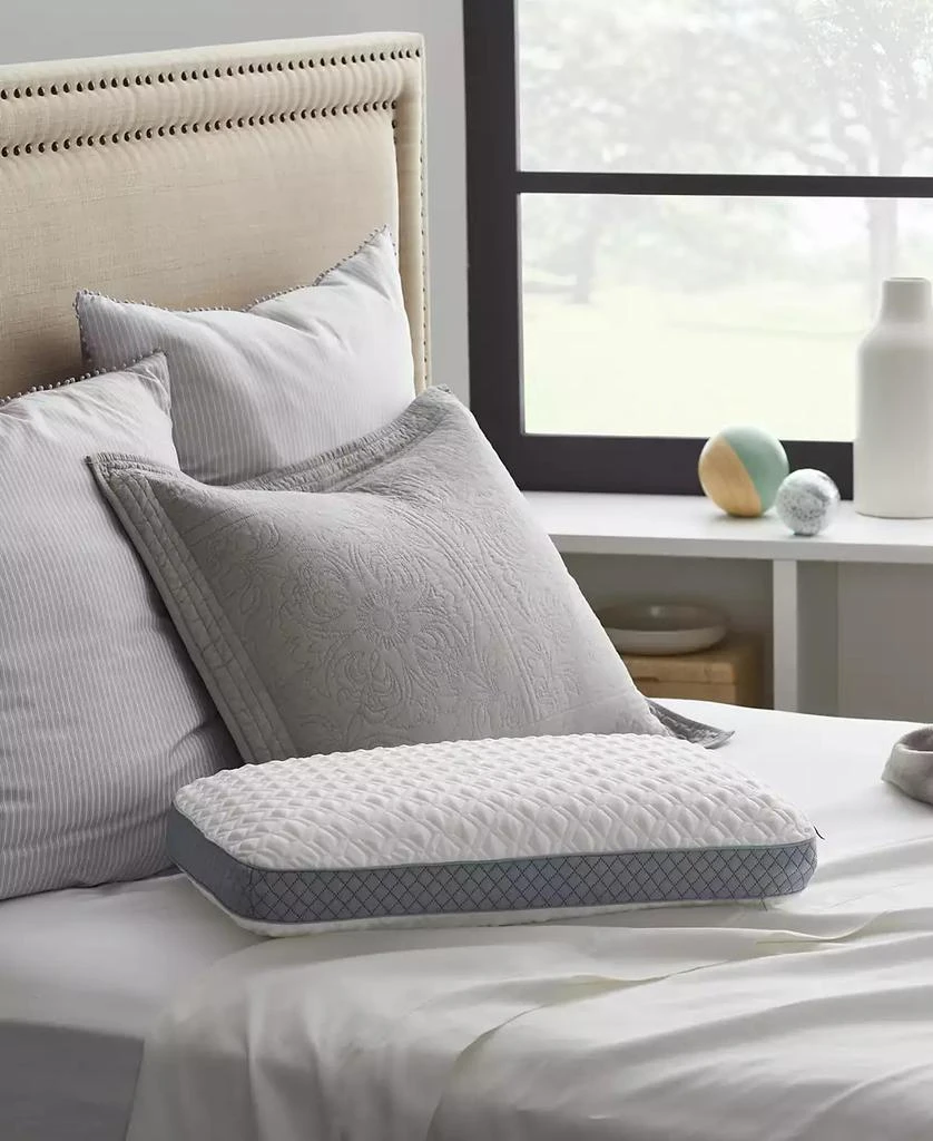 Memory Foam Bed Pillow 商品