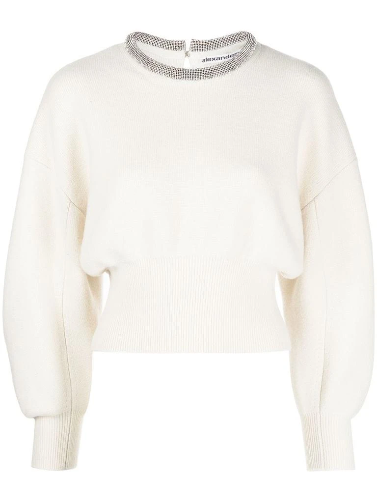 商品Alexander Wang|ALEXANDER WANG WOMEN PULLOVER WITH CRYSTAL TUBULAR NECKLACE,价格¥3211,第5张图片详细描述