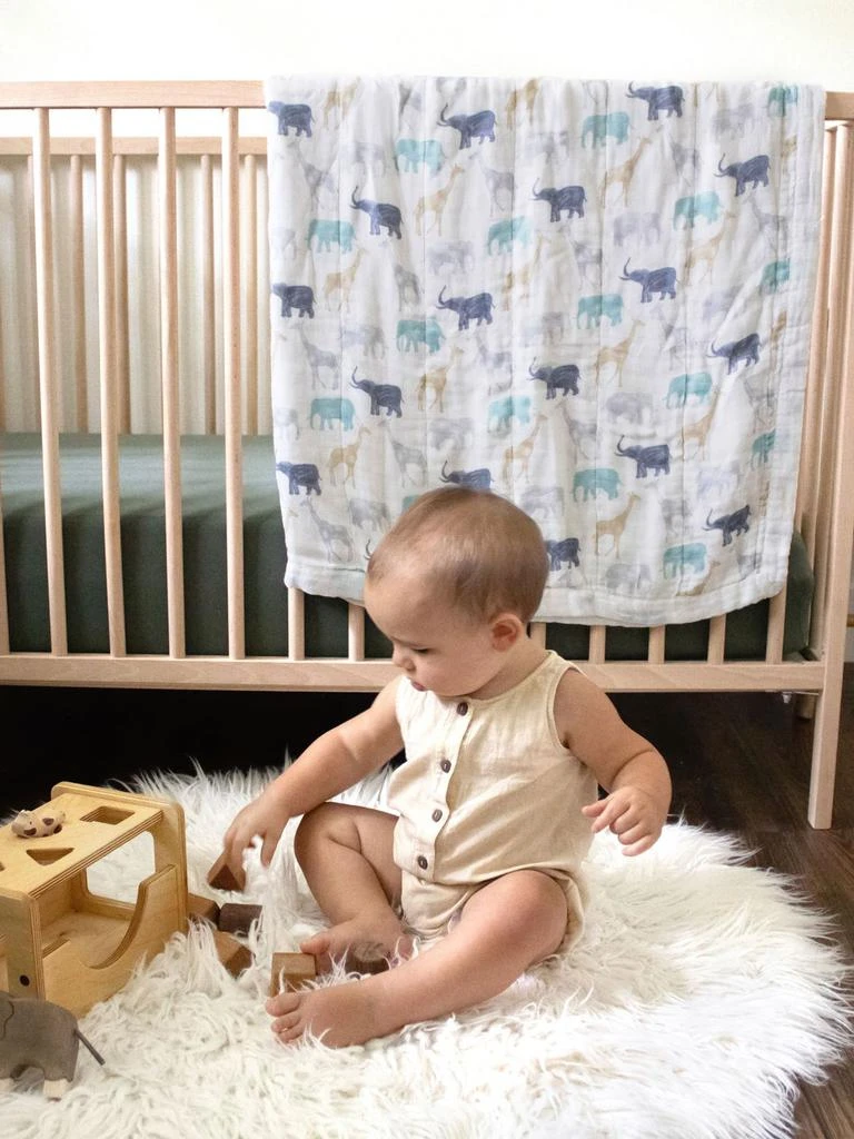 商品aden + anais|Dumbo Print Bamboo Viscose Blanket,价格¥324,第1张图片详细描述