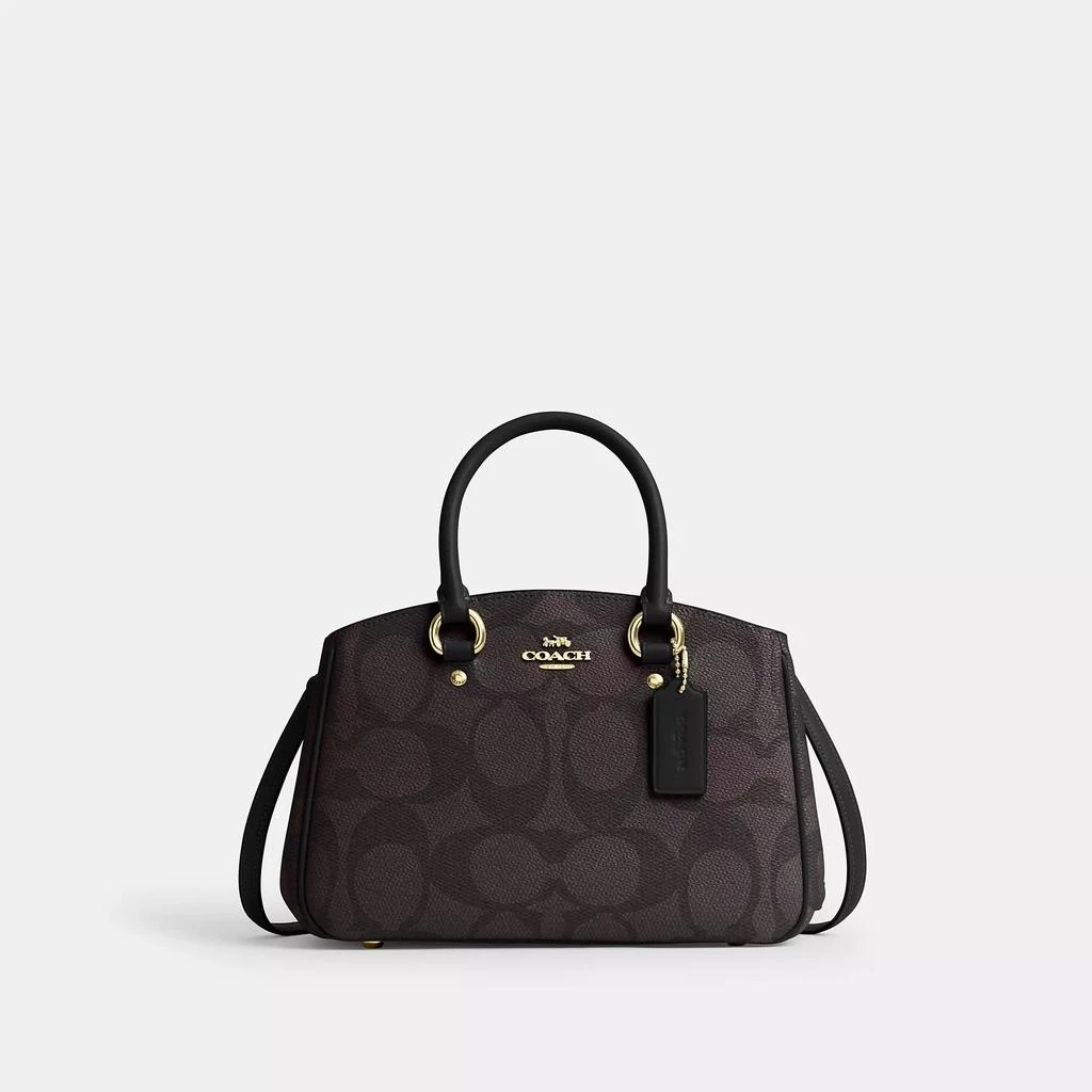 商品Coach|Savannah Small Carryall Bag In Signature Canvas,价格¥1581,第1张图片详细描述
