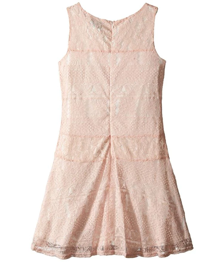 商品Us Angels|Striped Crochet Lace Sleeveless Fabric Color Block w/ Full Skirt (Big Kids),价格¥340,第2张图片详细描述