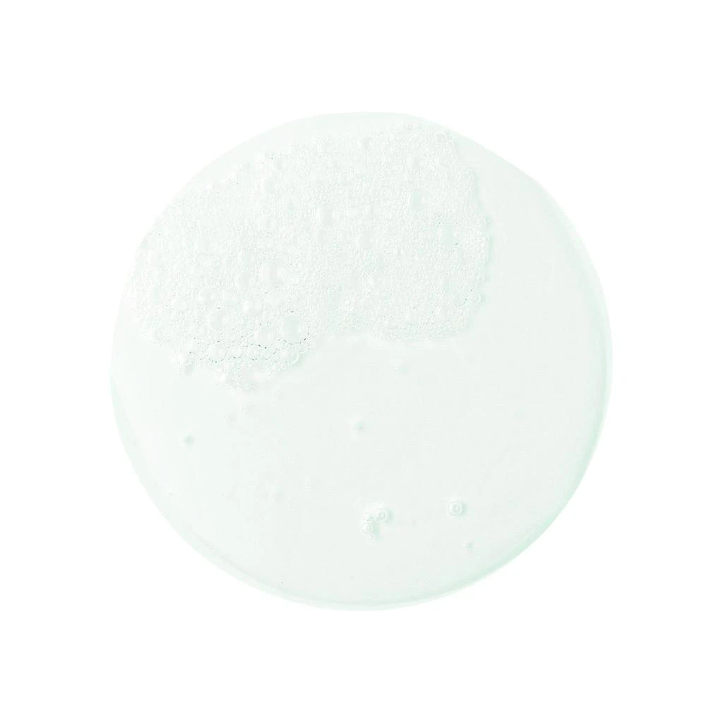 商品Dermalogica|Clearing Skin Wash,价格¥314,第2张图片详细描述