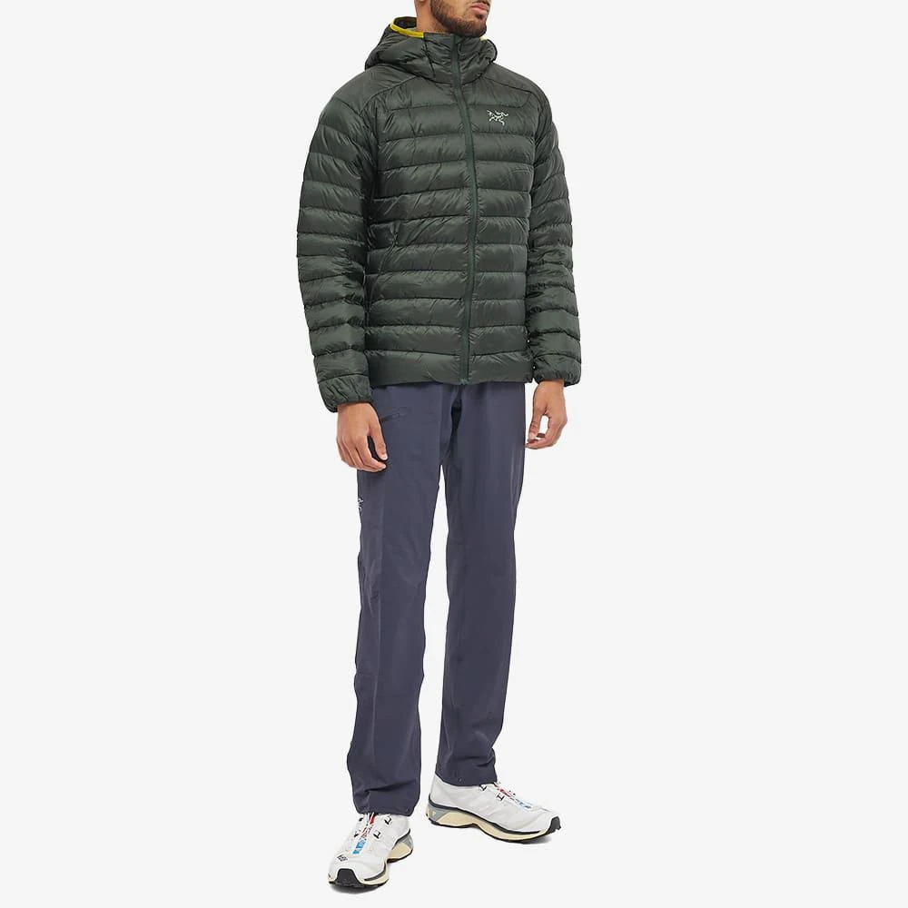 商品Arc'teryx|Arc'teryx Cerium LT Hoody,价格¥3322,第4张图片详细描述