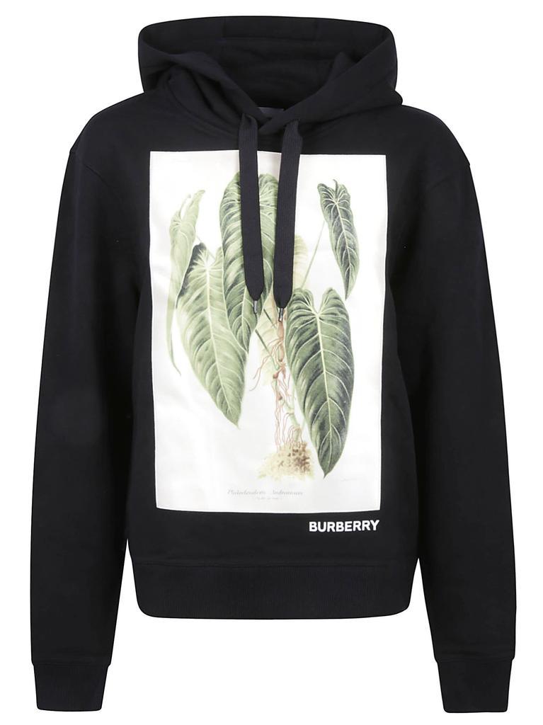 商品Burberry|Burberry Printed Hoodie,价格¥3813,第1张图片