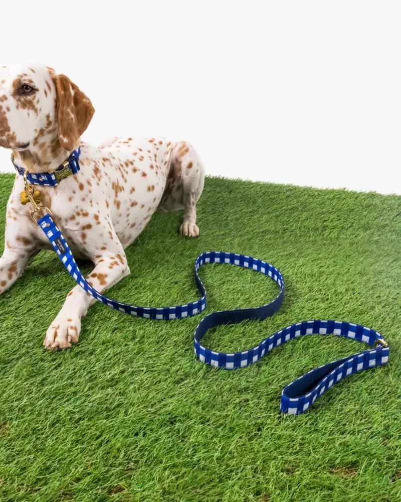 商品Kate Spade|Navy Gingham Leash M/L,价格¥243,第3张图片详细描述