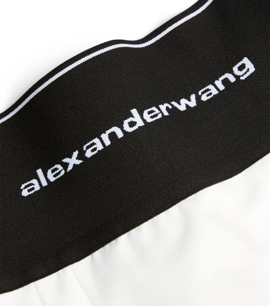 商品Alexander Wang|High-Waist Mini Skirt,价格¥5097,第5张图片详细描述