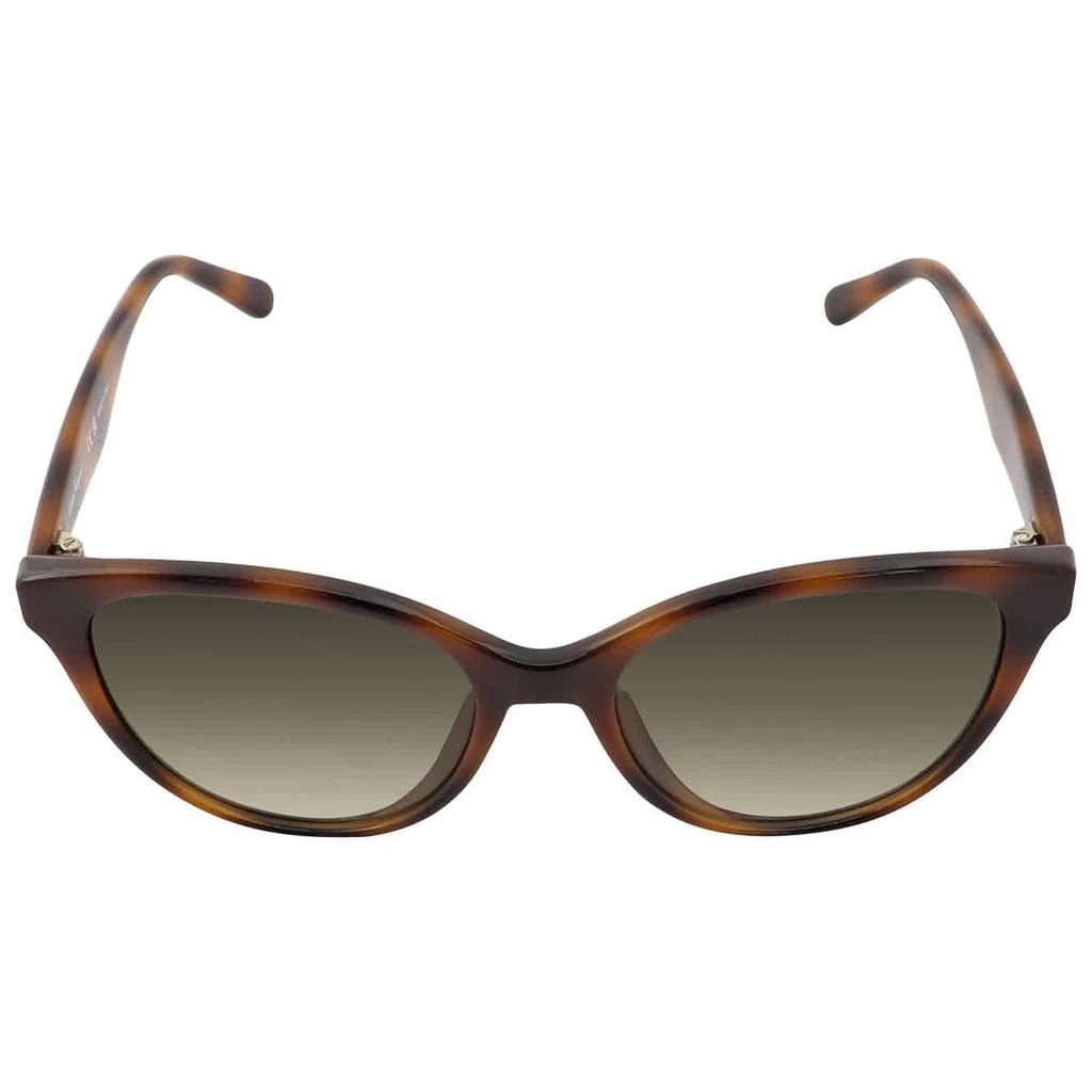 商品Salvatore Ferragamo|Grey Gradient Butterfly Ladies Sunglasses SF1073S 240 54,价格¥450,第1张图片