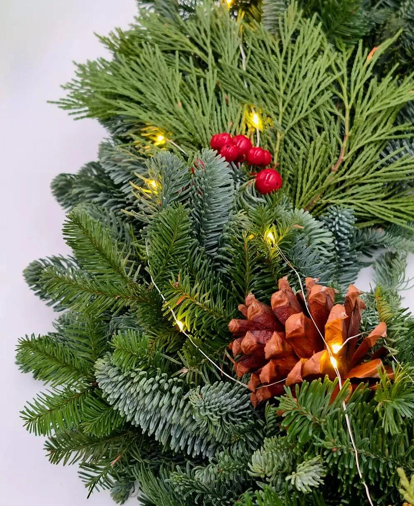 商品International Christmas Innovation|Traditional Noble Fir Fresh Wreath with Warm Lights, 22",价格¥434,第3张图片详细描述