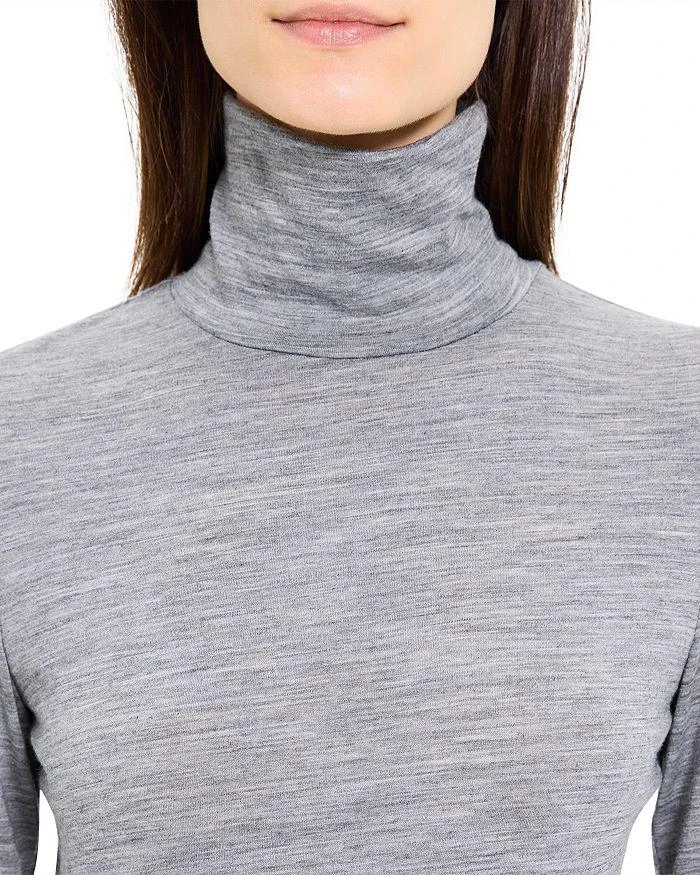 Long Sleeve Wool Turtleneck 商品