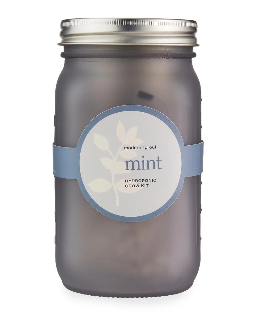 商品Modern Sprout|Garden Jar - Mint,价格¥92,第1张图片
