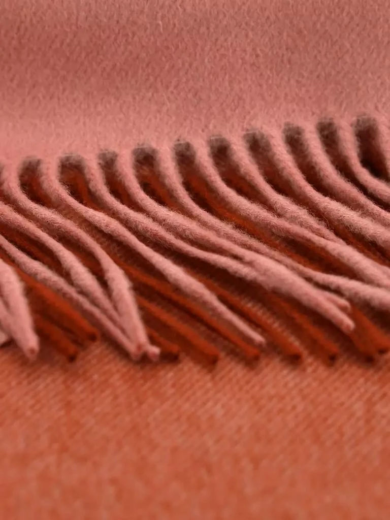 商品Loro Piana|Two-Tone Cashmere Scarf,价格¥7997,第3张图片详细描述