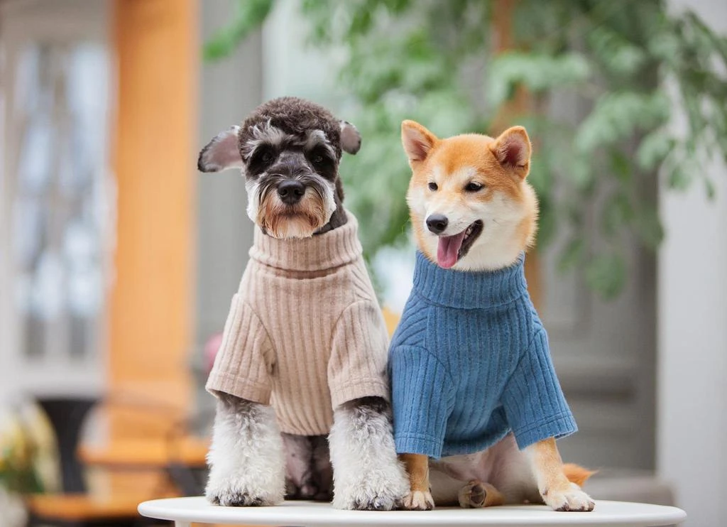 商品Touchdog|Modress Fashion Dog Sweater and Dress,价格¥267,第5张图片详细描述