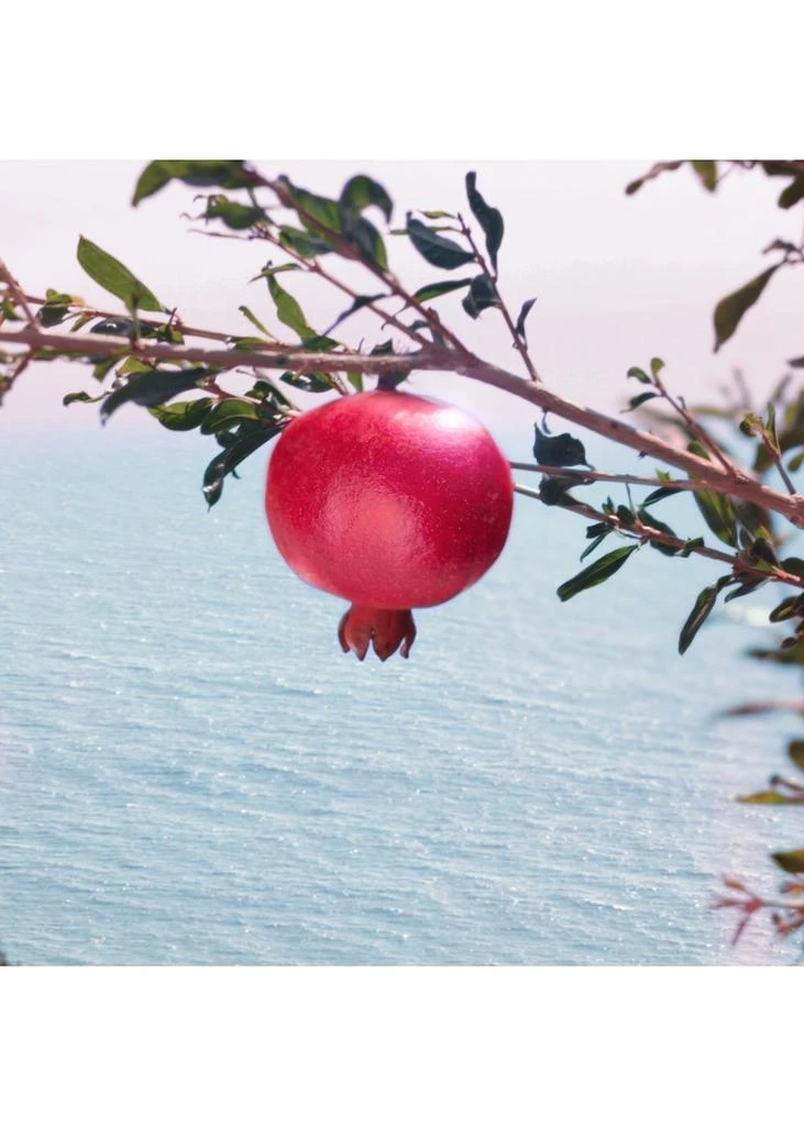 商品Estée Lauder|Nutritious Super-Pomegranate Radiant Energy Night Creme/Mask 50ml,价格¥855,第2张图片详细描述