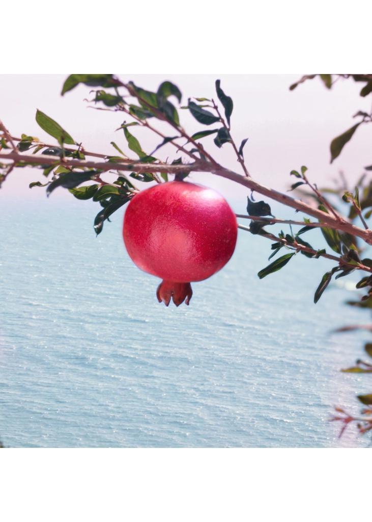商品Estée Lauder|Nutritious Super-Pomegranate Radiant Energy 2-in-1 Cleansing Foam 125ml,价格¥257,第4张图片详细描述