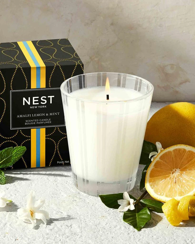 商品NEST New York|8.1 oz. Amalfi Lemon & Mint Classic Candle,价格¥371,第3张图片详细描述