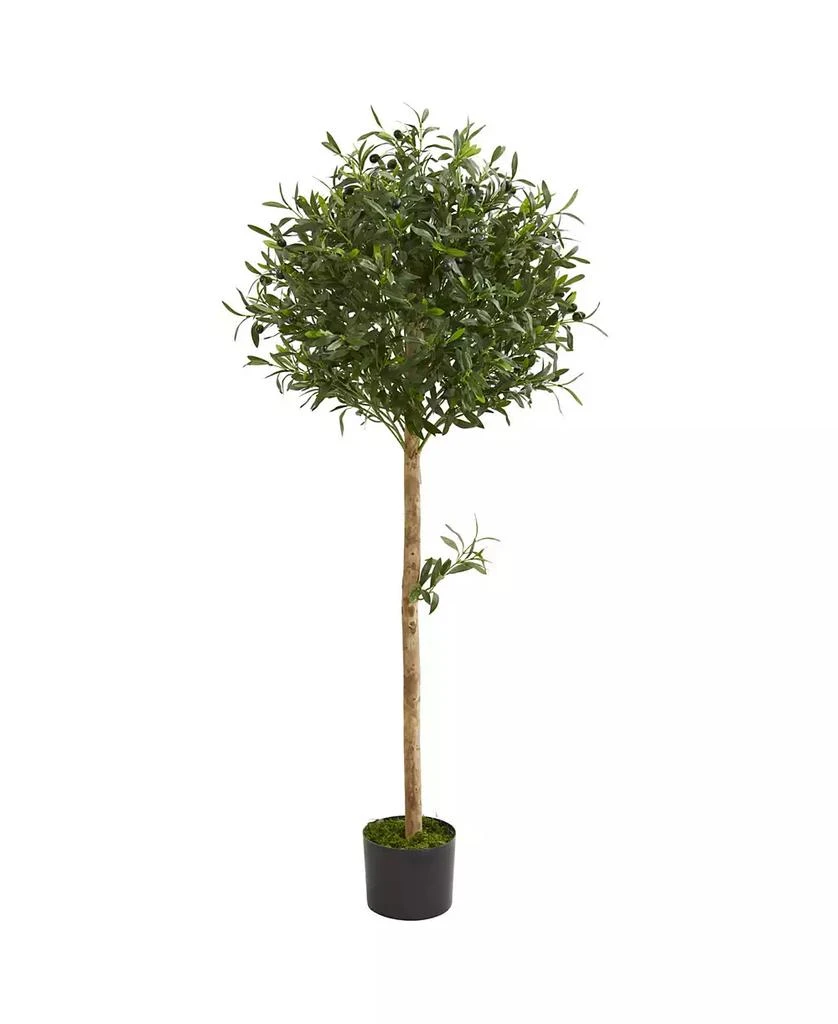 商品NEARLY NATURAL|5' Olive Topiary Artificial Tree,价格¥1077,第1张图片