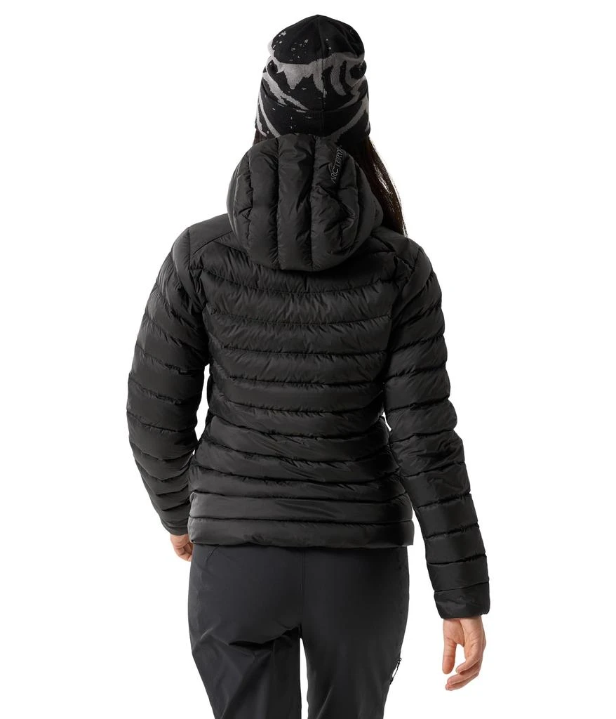 商品Arc'teryx|Cerium Hoody,价格¥3191,第2张图片详细描述