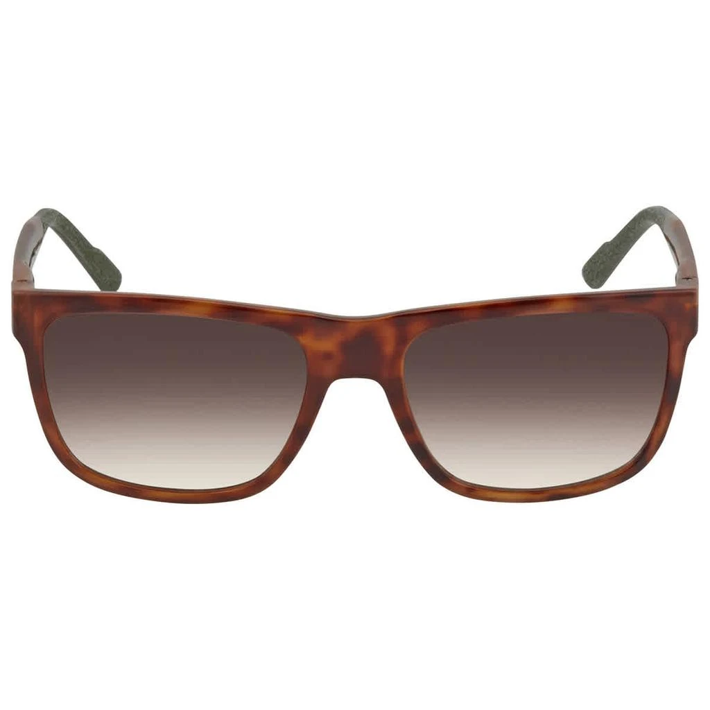 商品Calvin Klein|Calvin Klein Brown Gradient Square Mens Sunglasses CK21531S 220 58,价格¥210,第2张图片详细描述