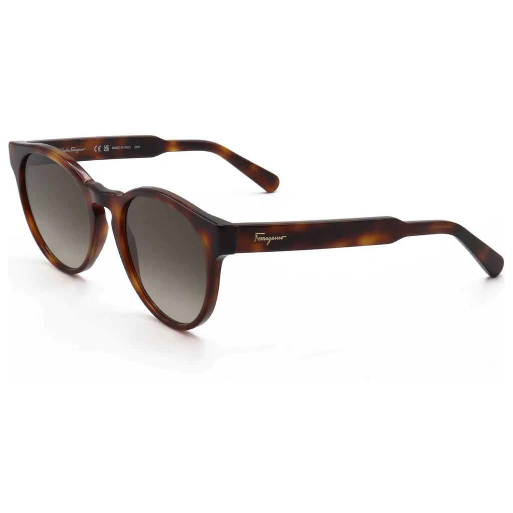 商品Salvatore Ferragamo|Ferragamo Women's Sunglasses SF1068S-240,价格¥525,第1张图片