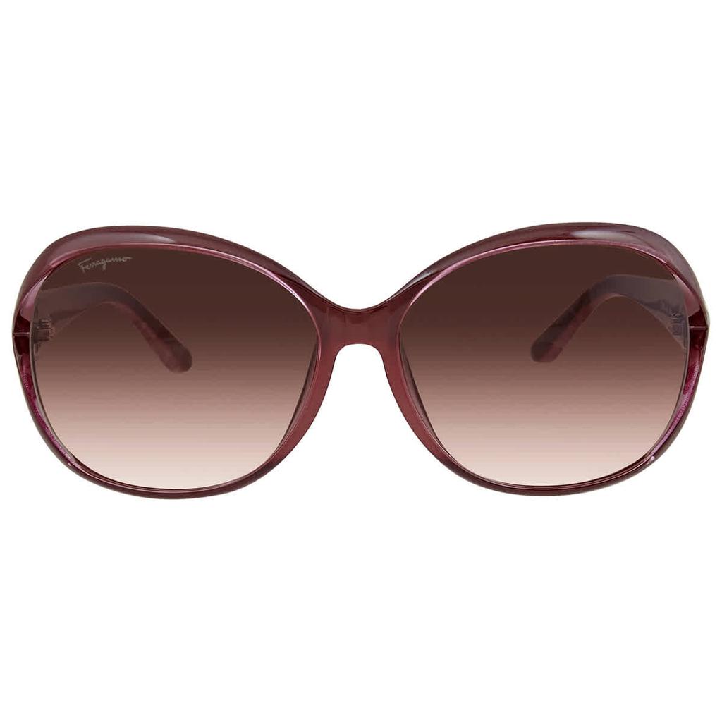 Salvatore Ferragamo Brown Oval Ladies Sunglasses SF770SA 604 61商品第2张图片规格展示