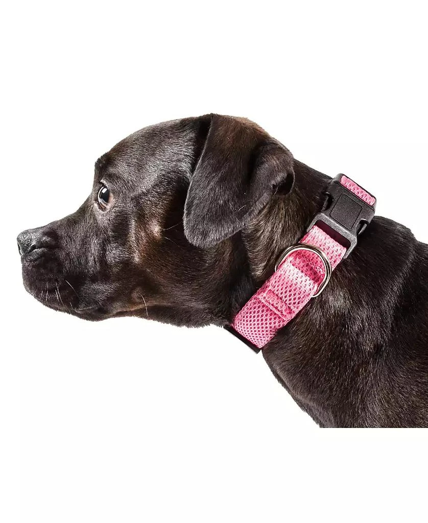 'Aero Mesh' 360 Degree Breathable Adjustable Mesh Dog Collar 商品