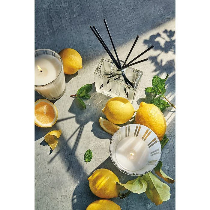 商品NEST New York|NEST Frangrances Amalfi Lemon & Mint Collection,价格¥149,第2张图片详细描述