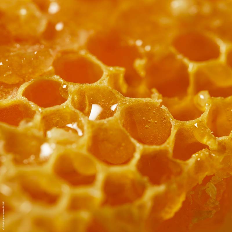 NUXE 欧树 蜂蜜深层滋养润唇膏 4g商品第3张图片规格展示