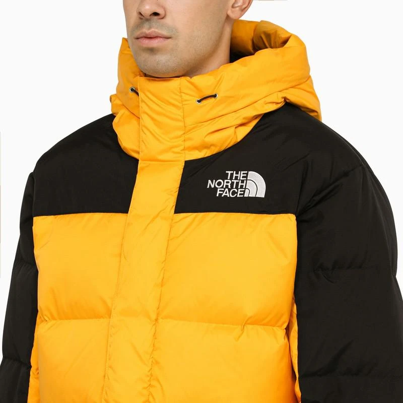 商品The North Face|男士 复古羽绒服,价格¥3063,第4张图片详细描述