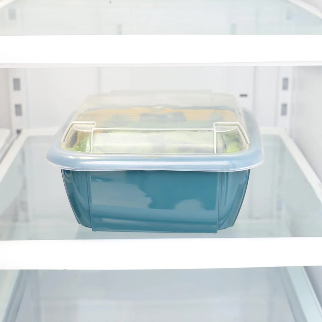 商品Home Basics|Home Basics Plastic Container with Strainer Basket and Clear Lid, Multi-Color,价格¥107,第3张图片详细描述