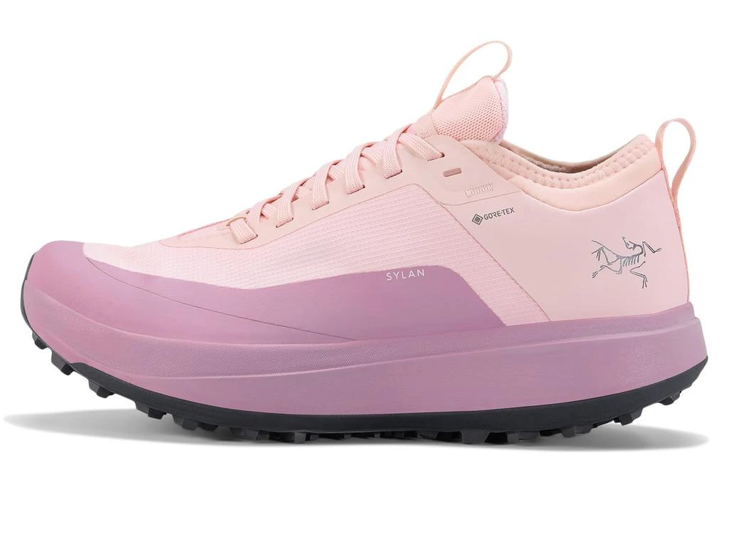 商品Arc'teryx|女款 Sylan系列 防水越野跑鞋,价格¥1318,第1张图片