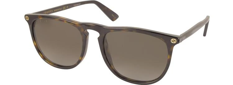 商品Gucci|Gucci GG0120S 006 Havana Acetate Rounded Square Men's Polarized Sunglasses,价格¥2226,第2张图片详细描述