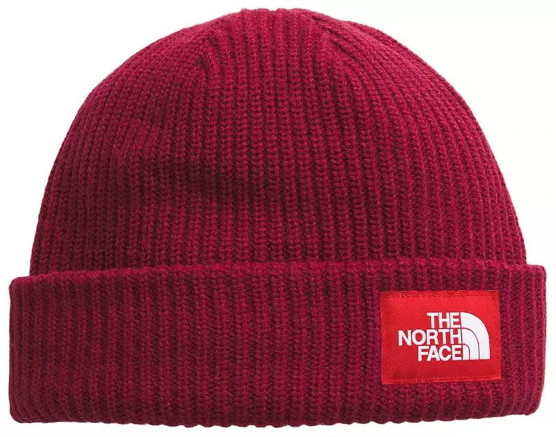 商品The North Face|The North Face Salty Lined Beanie,价格¥234,第1张图片