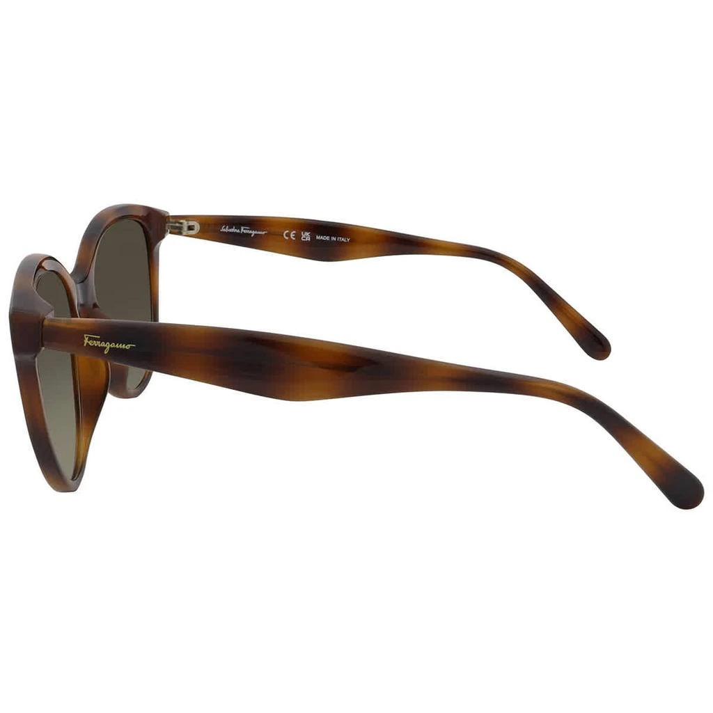 商品Salvatore Ferragamo|Grey Gradient Butterfly Ladies Sunglasses SF1073S 240 54,价格¥450,第3张图片详细描述