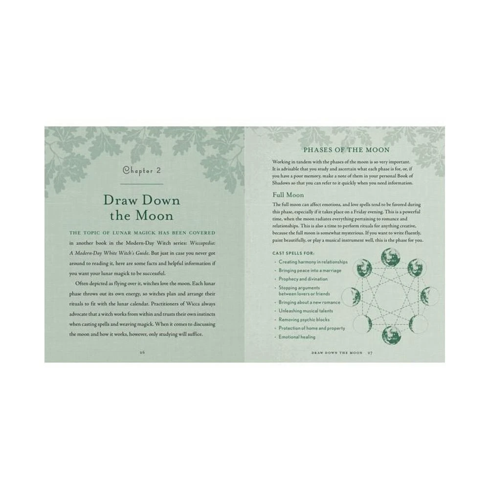 The Witch's Way: A Guide to Modern-Day Spellcraft, Nature Magick, and Divination by Shawn Robbins 商品