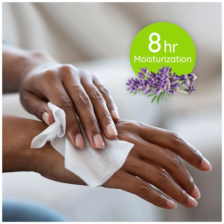 Antibacterial Hand Wipes Lavender 商品