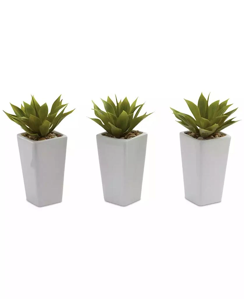 商品NEARLY NATURAL|3-Pc. Mini Agave Artificial Plant Set in White Planters,价格¥504,第1张图片