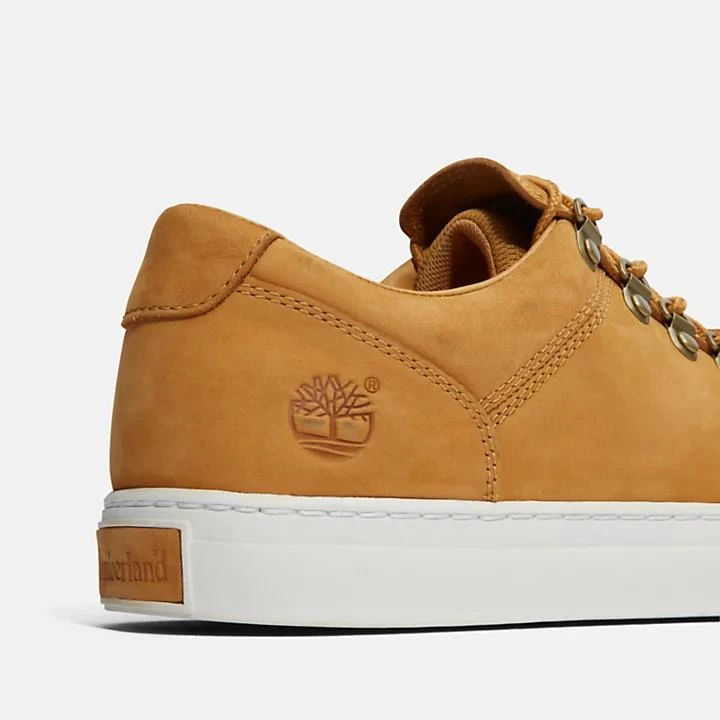 Adventure 2.0 Cupsole Alpine Sneaker for Men in Yellow 商品