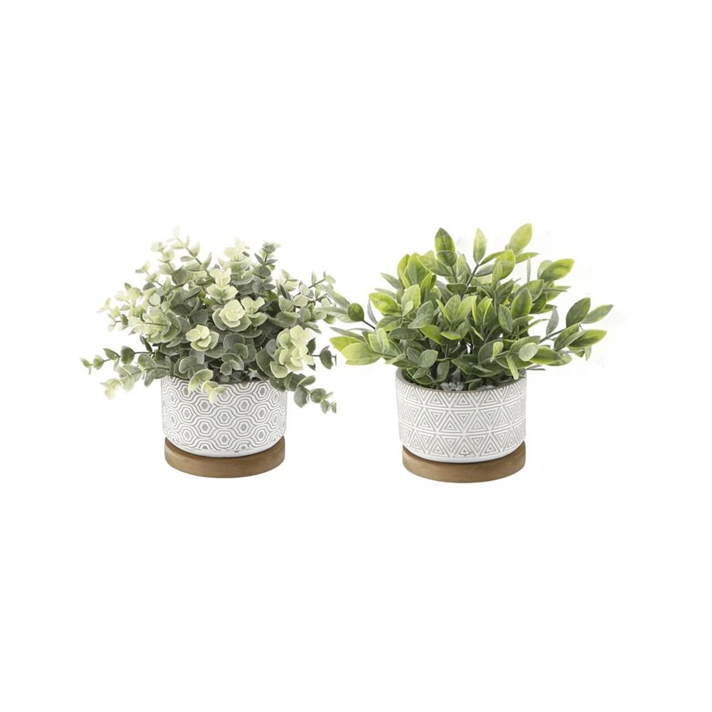 商品Flora Bunda|Eucalyptus Tea Leaf in Base Pot Set, 2 Piece,价格¥314,第1张图片