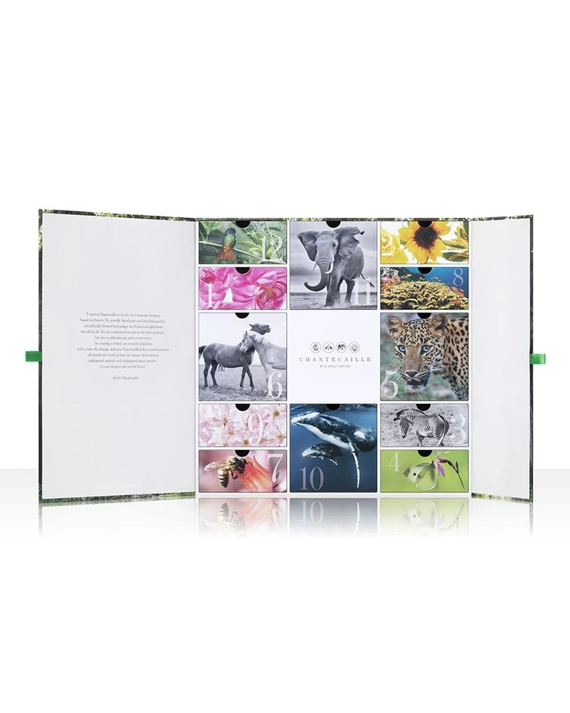商品Chantecaille|Makeup & Skincare Advent Calendar,价格¥2896,第3张图片详细描述