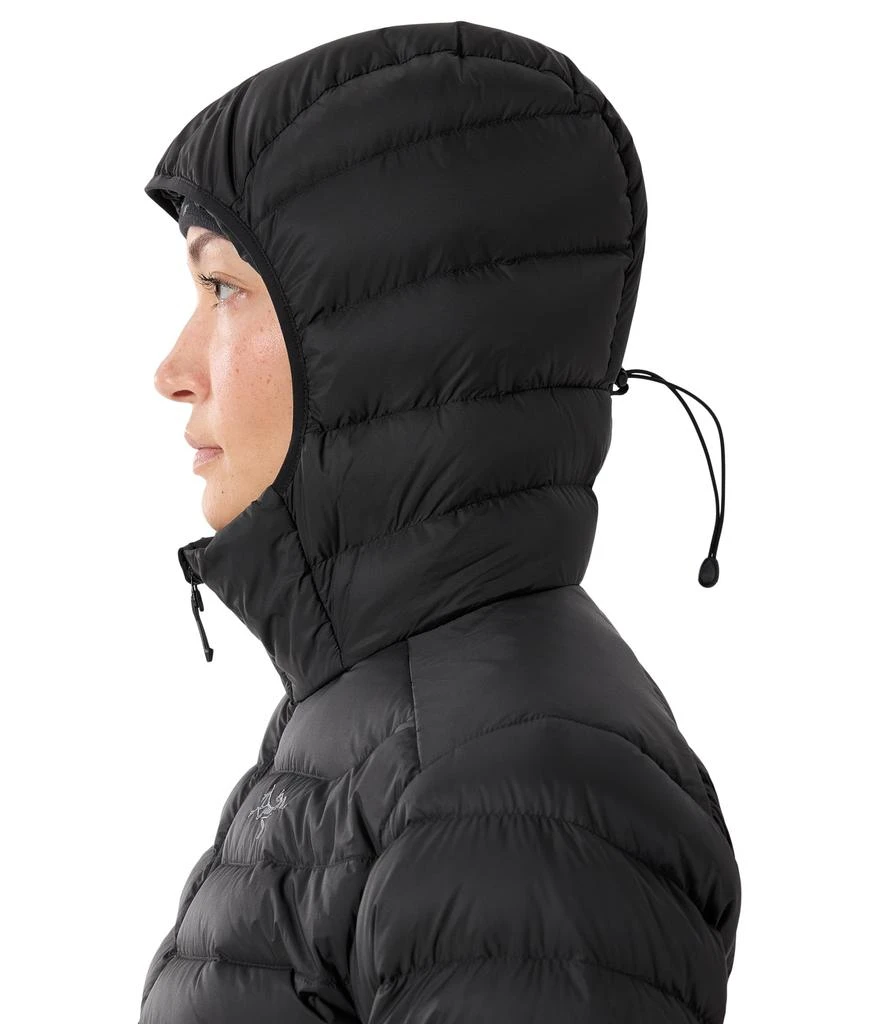 商品Arc'teryx|Cerium Hoody,价格¥3274,第5张图片详细描述