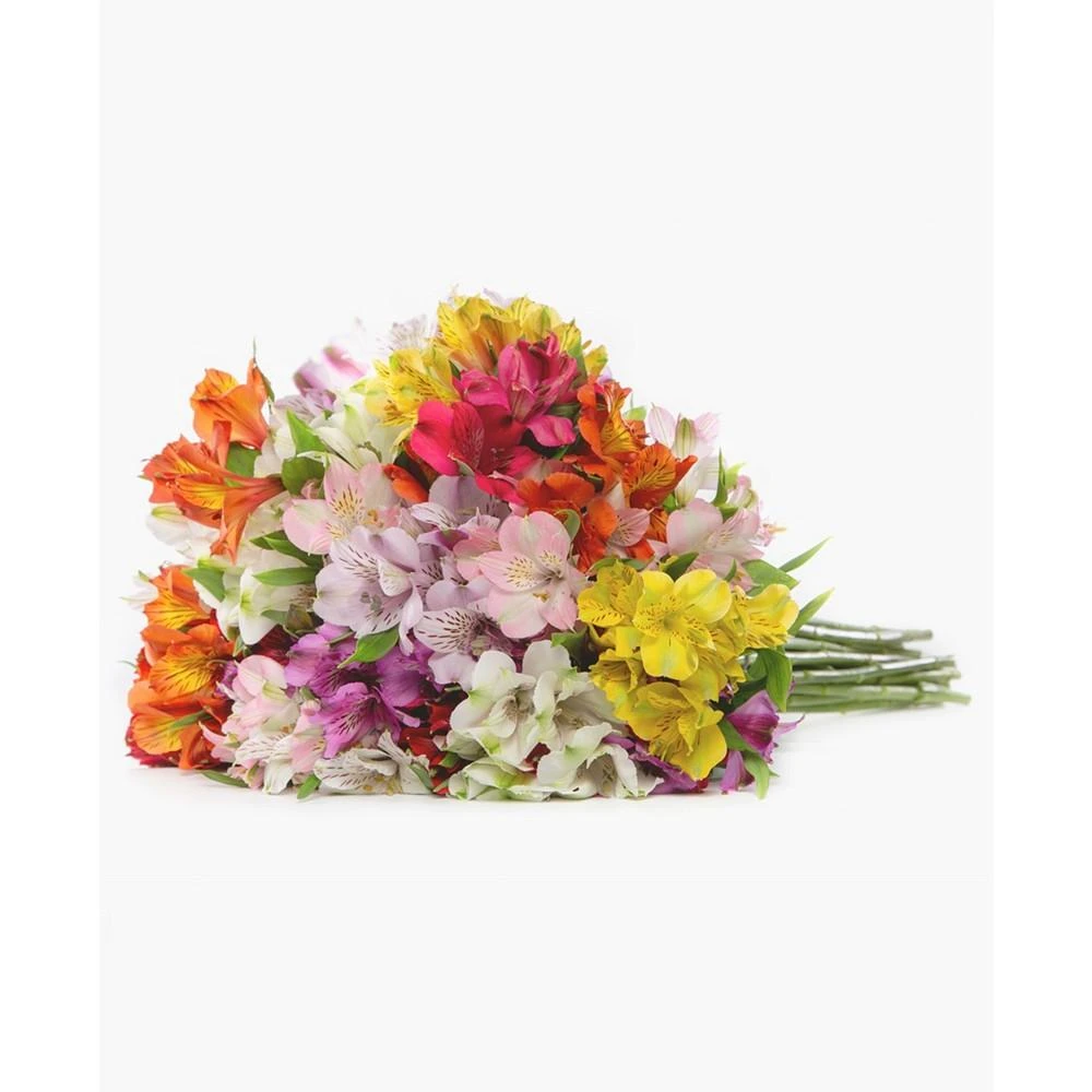 商品BloomsyBox|Assorted Alstroemeria Fresh Flower Bouquet,价格¥386,第3张图片详细描述