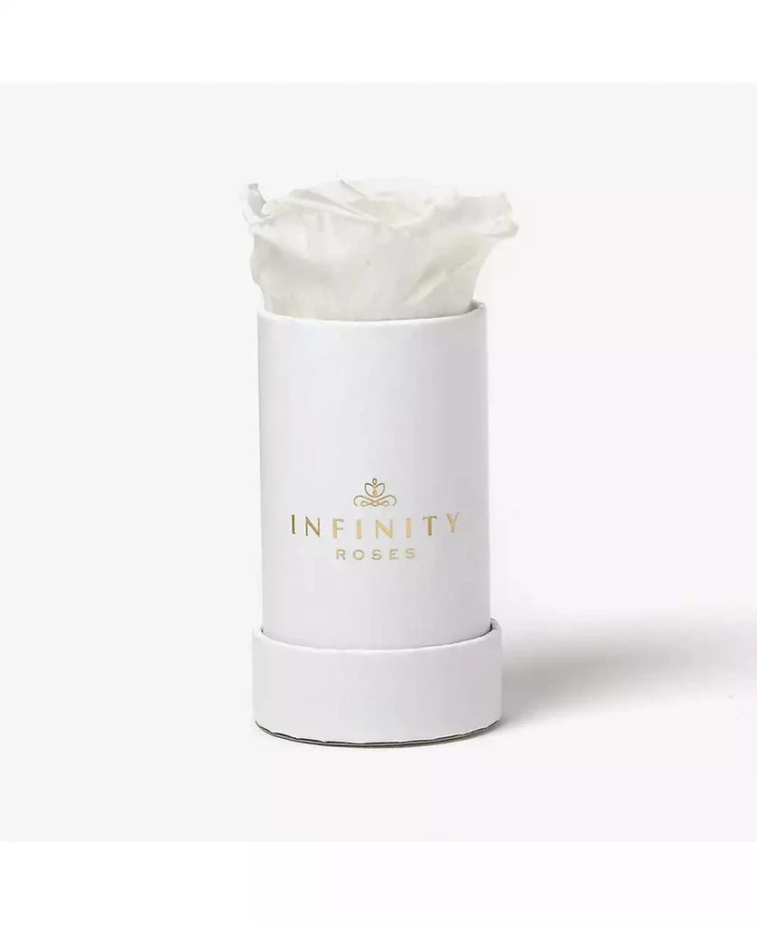 商品Infinity Roses|Single White Real Rose Preserved To Last Over A Year,价格¥299,第1张图片